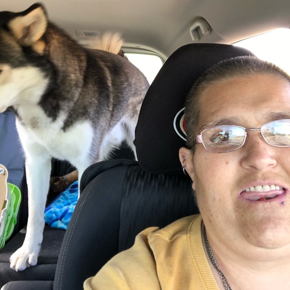 Meet your Posher, Windy - Picture 8 of 8